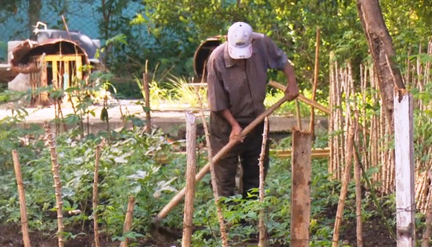 Producen alimentos en alrededores de edificios multifamiliares de Bayamo