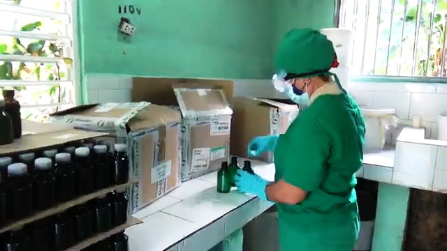 Logra estabilidad en sus producciones el laboratorio de medicina verde de Media Luna