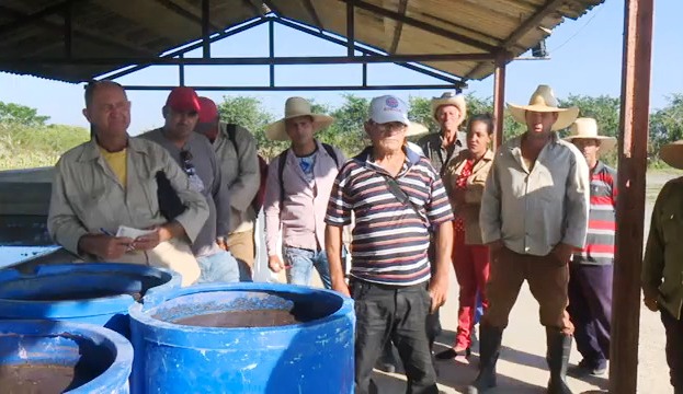 Uso de biofertilizantes estimula producciones arroceras