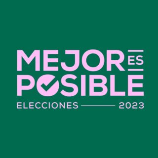 ¿Cómo se forman los precandidatos a diputado?