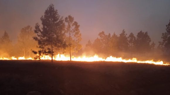Enfrentan un incendio forestal de grandes proporciones en oriente de Cuba
