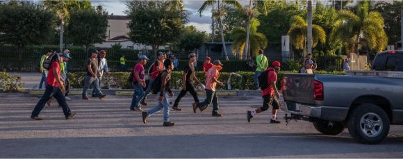 Solos y explotados, los niños migrantes realizan trabajos brutales en EEUU (III)