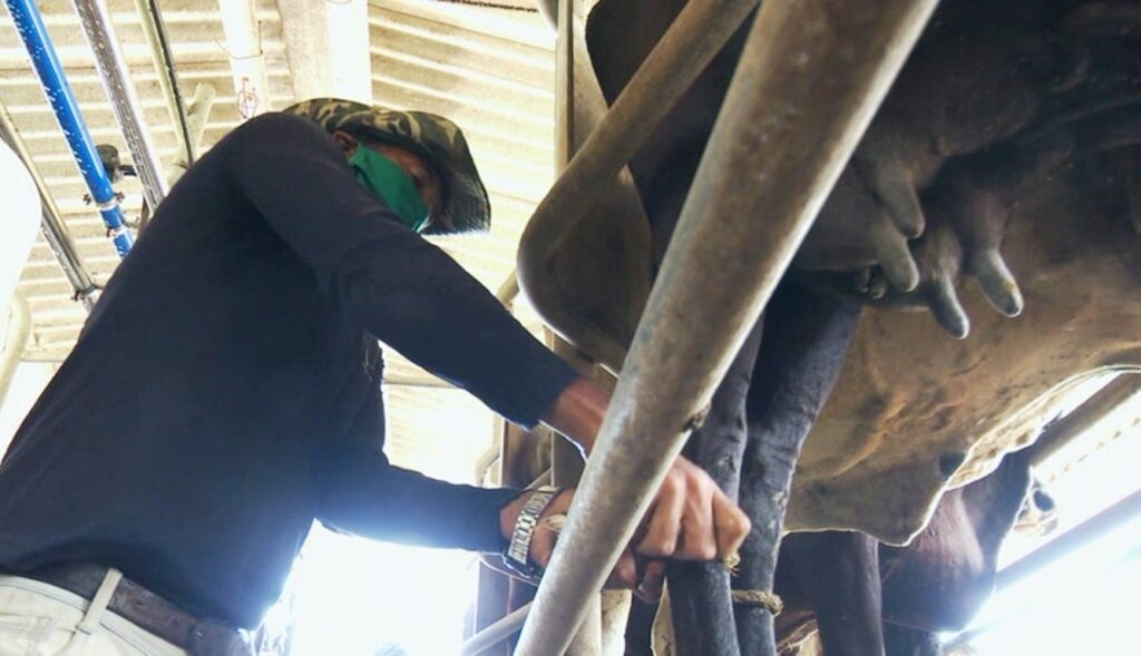 Trabajadores veterinarios celebran su día
