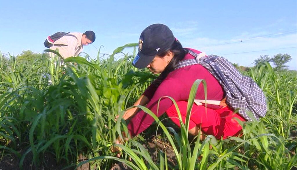 Realizan movilizaciones agrícolas como saludo al Primero de Mayo