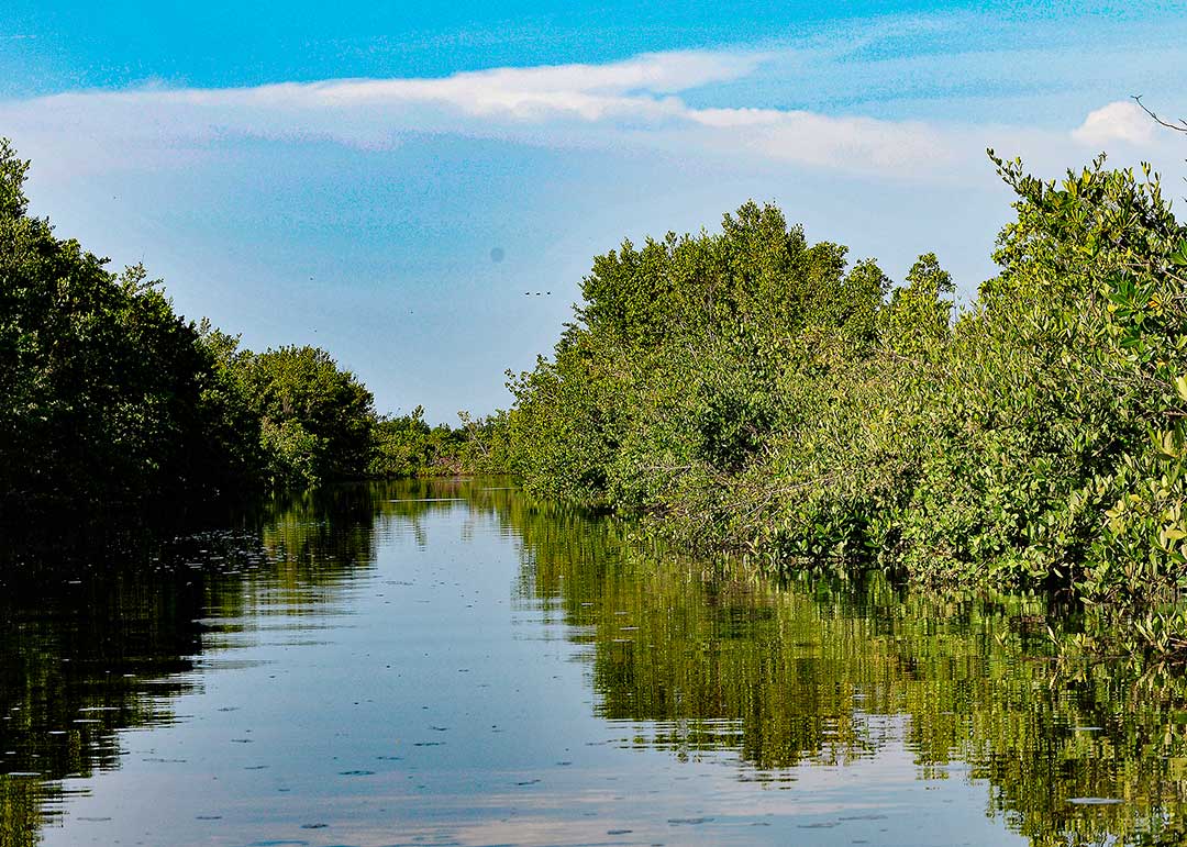 El Mango, Río Cauto