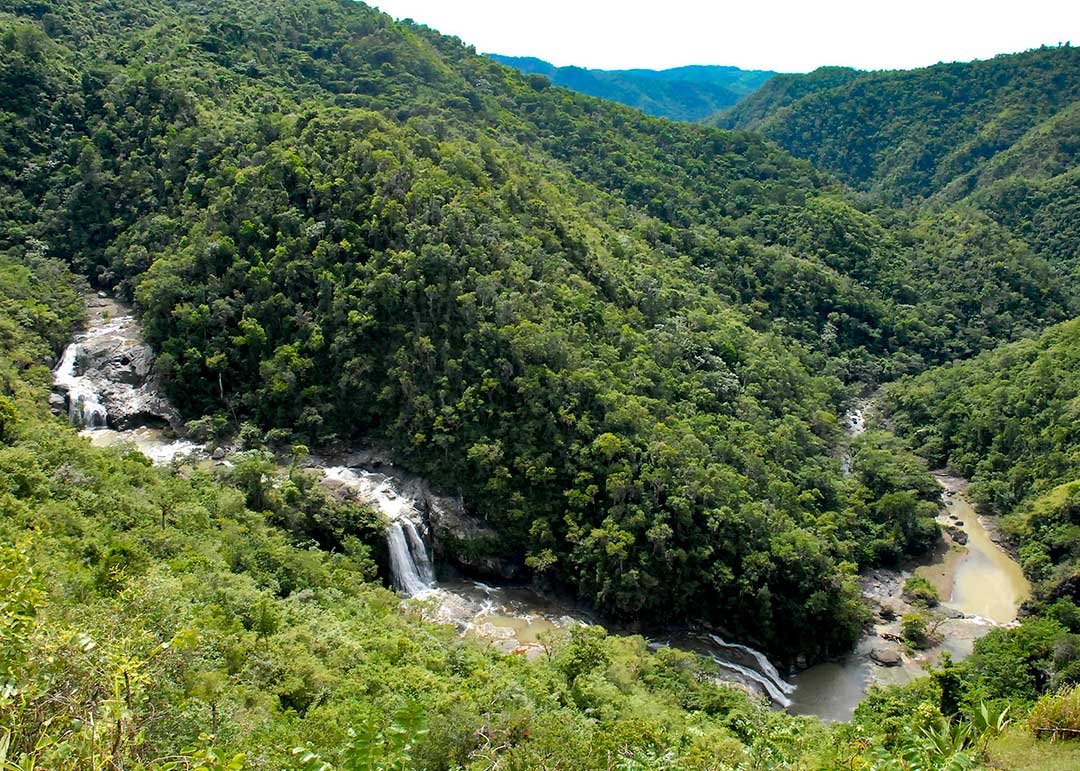 Las Yaguas, Pilón