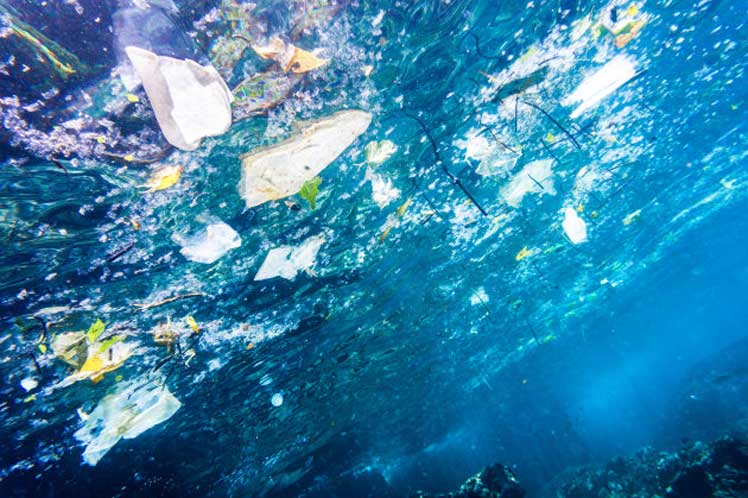 Llaman a reducir uso de las bolsas de plástico en el mundo
