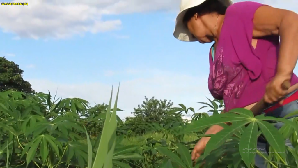 Ocupan rol fundamental mujeres granmenses en tareas de la producción de alimentos