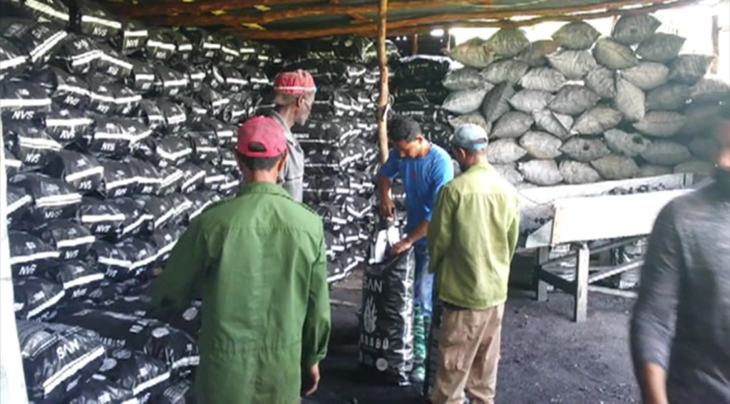 Destaca joven pilonenese en la producción del carbón