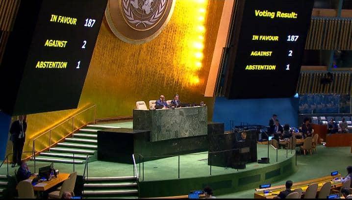 De moderación a cese inmediato: el conflicto en Gaza desde la ONU