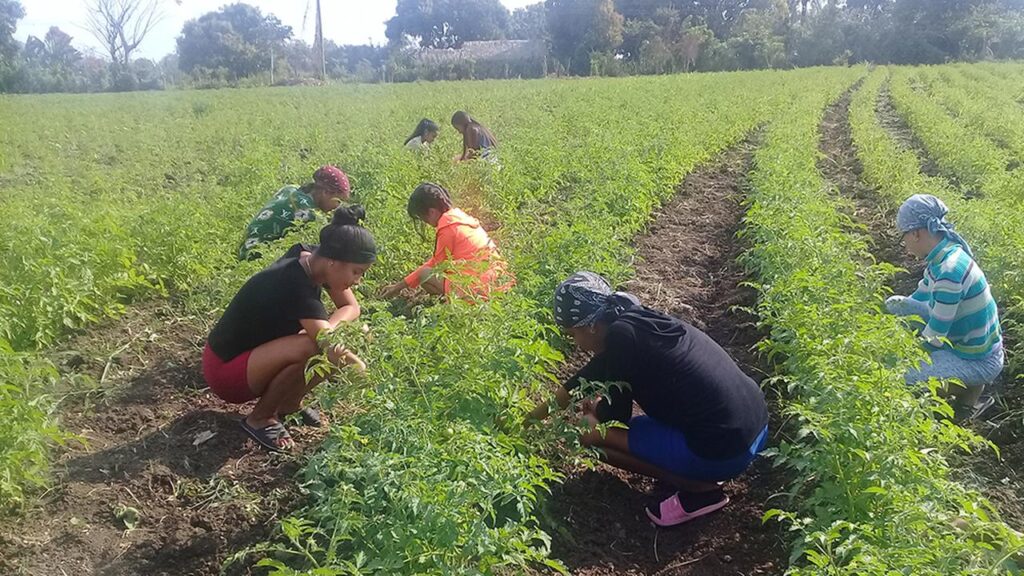 Producir alimentos también educa (+ audio )
