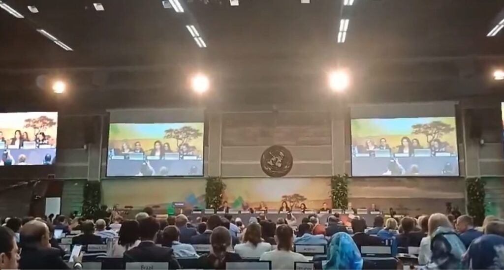 Adopta ONU resolución cubana en evento de Medio Ambiente