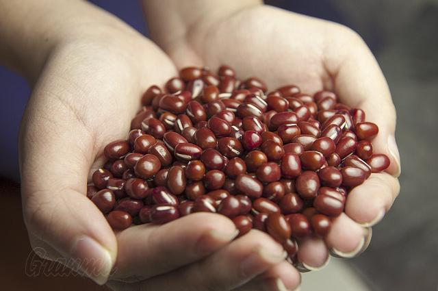 Anuncia FAO decisión de apoyar a Cuba en producción de semillas