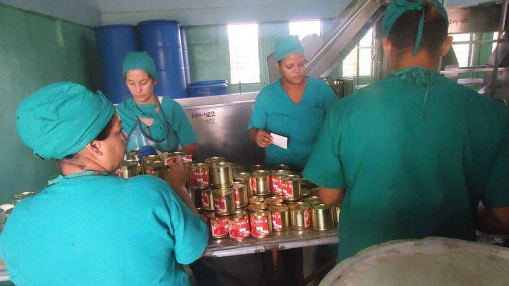 En marcha nuevo emprendimiento productivo en Jiguaní (+ audio)