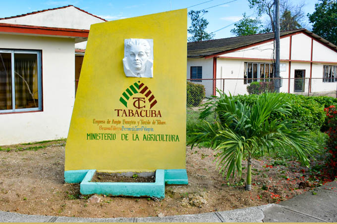 Reconocerán a tabacaleros en su día en Granma
