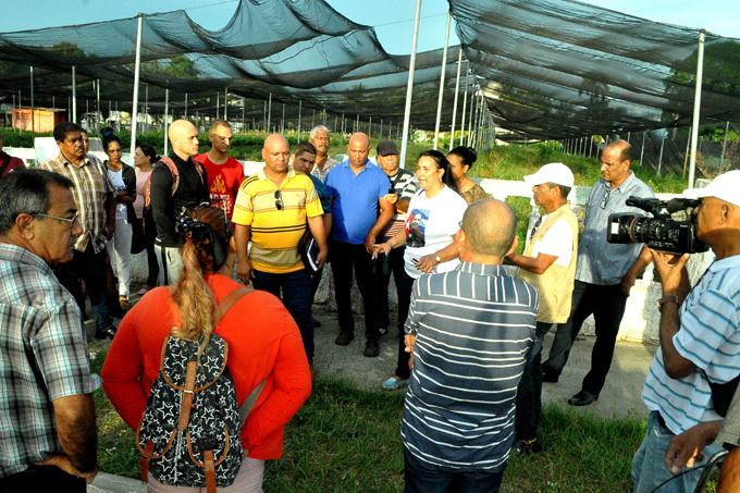 Recorren autoridades política y gubernamental zona urbana de Bayamo