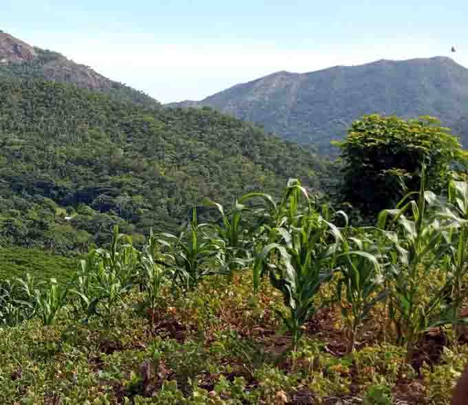 La ciencia en función del desarrollo del montañés y su entorno