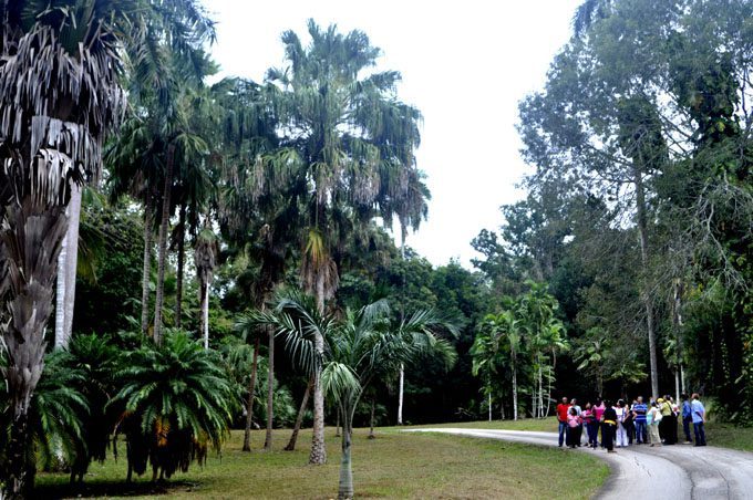 Cupaynicú y las bellezas naturales de Cuba