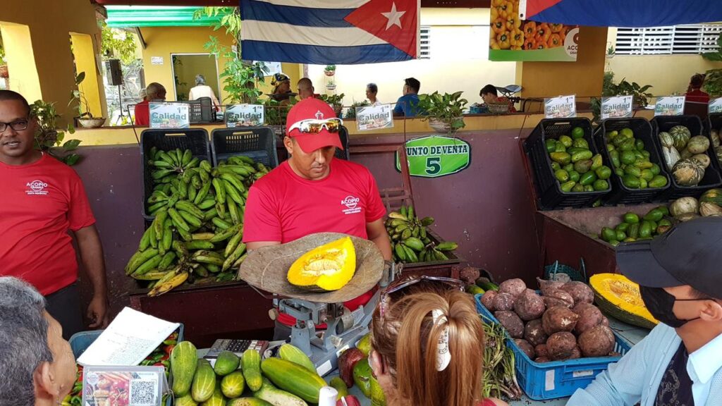 Amplias ofertas de productos agrícolas prevén para las ferias del 27 de septiembre (+ audio)