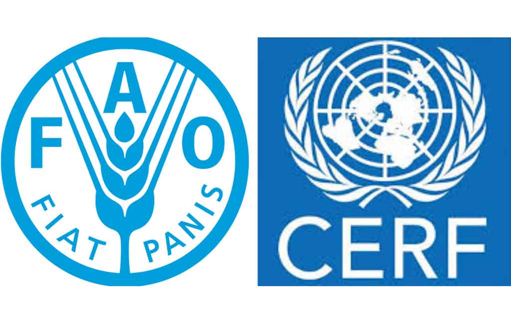 FAO apoya a Cuba en recuperación de huracán Rafael