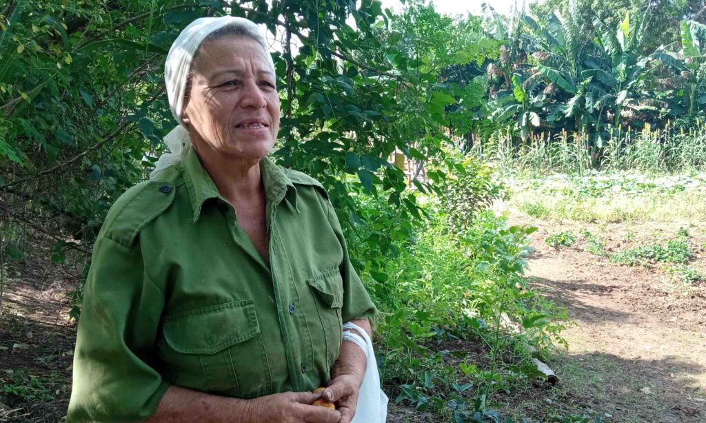 Del buró a la labranza