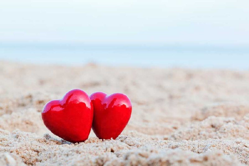 Febrero, mes del amor.