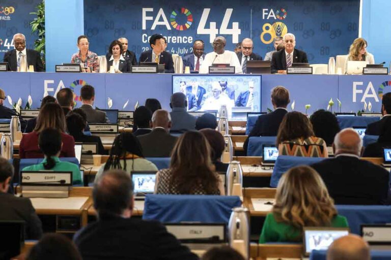 Conferencia de la FAO busca soluciones tangibles contra el hambre