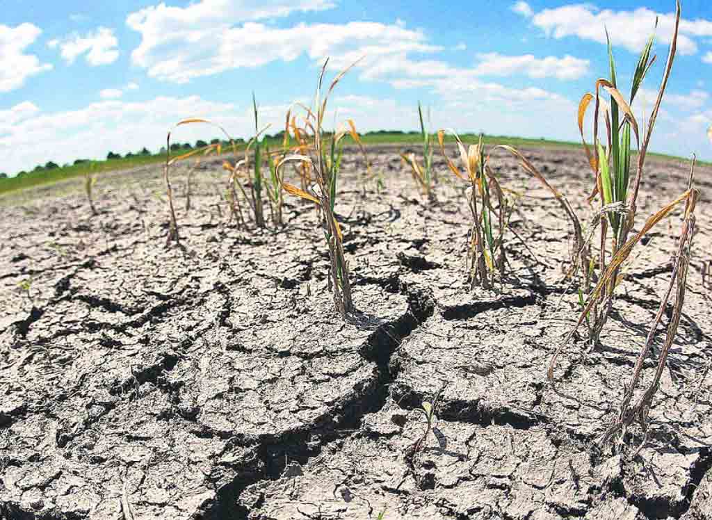 China utiliza tecnología avanzada para combatir desertificación