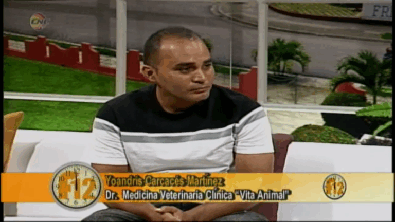 Doctor en Medicina Veterinaria Clinica Vita Animal. La Rabia