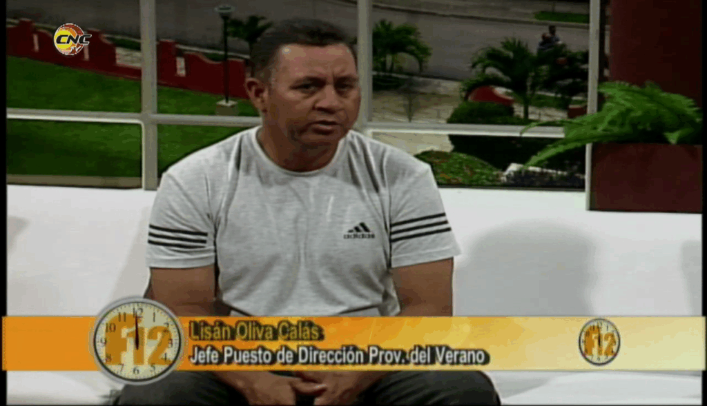 Opciones del Verano Siempre Joven