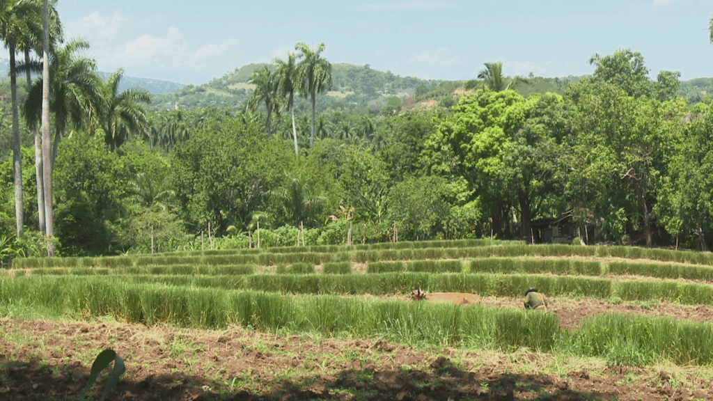 Polígono Provincial de Suelos promueve acciones para proteger la calidad de la tierra