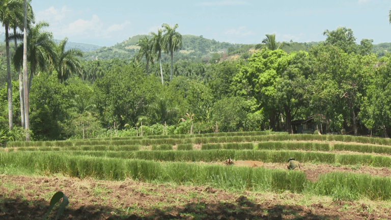 Polígono Provincial de Suelos promueve acciones para proteger la calidad de la tierra