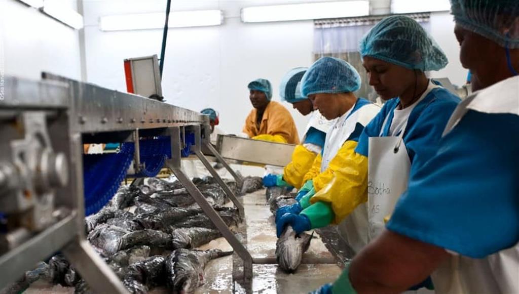 Sudáfrica asegura acceso a mercado pesquero de EEUU
