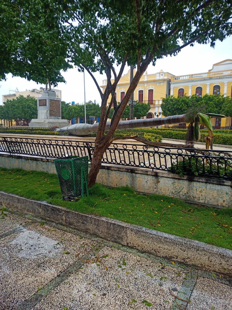 A una semana del huracán Melissa, Bayamo limpia heridas en su 512 aniversario de su fundación(+Fotos y Video)