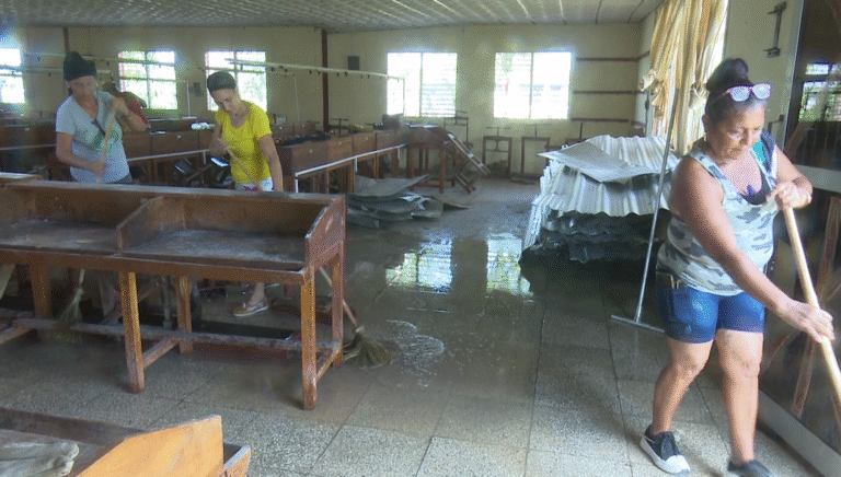 Trabaja colectivo de empresa de Torcido de Tabaco de Jiguaní en revertir daños del huracán Melissa