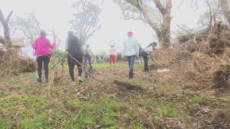 Continúa en Granma labores de recuperación tras paso de huracán Melissa