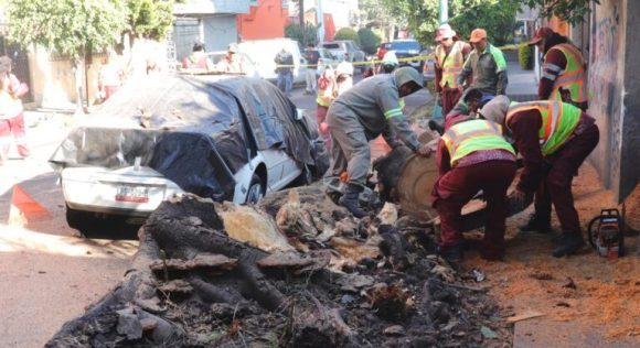 Reportan dos fallecidos y cientos de viviendas dañadas tras sismo en México