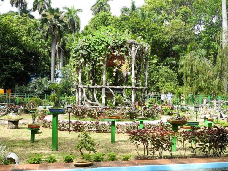 Quinta de los Molinos de Cuba persiste como oasis