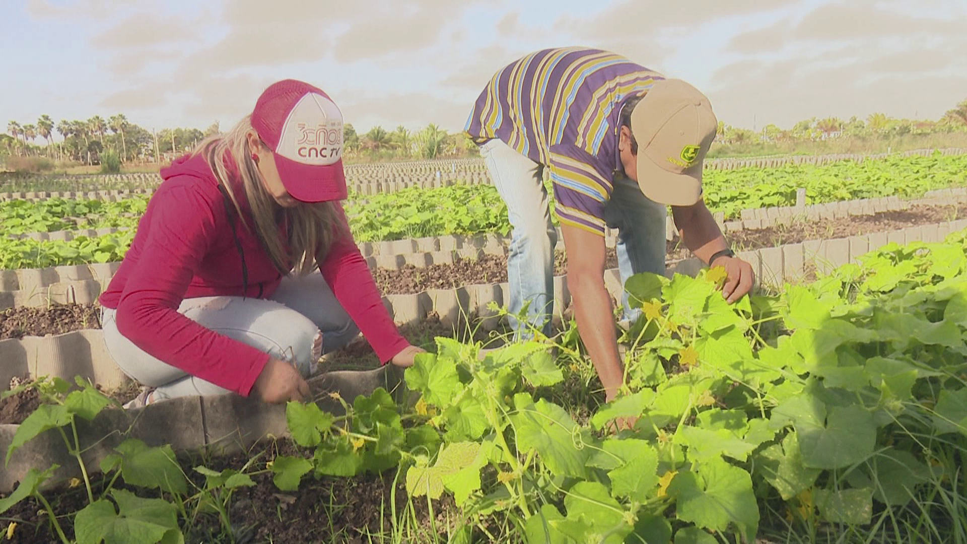 Realizan profesionales del periodismo actividades en saludo a la jornada de la prensa cubana
