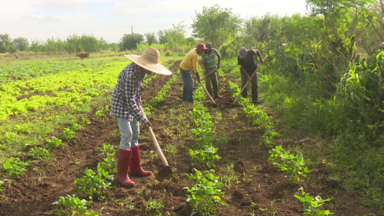 Celebrará ANAP 65 Aniversario de su fundación
