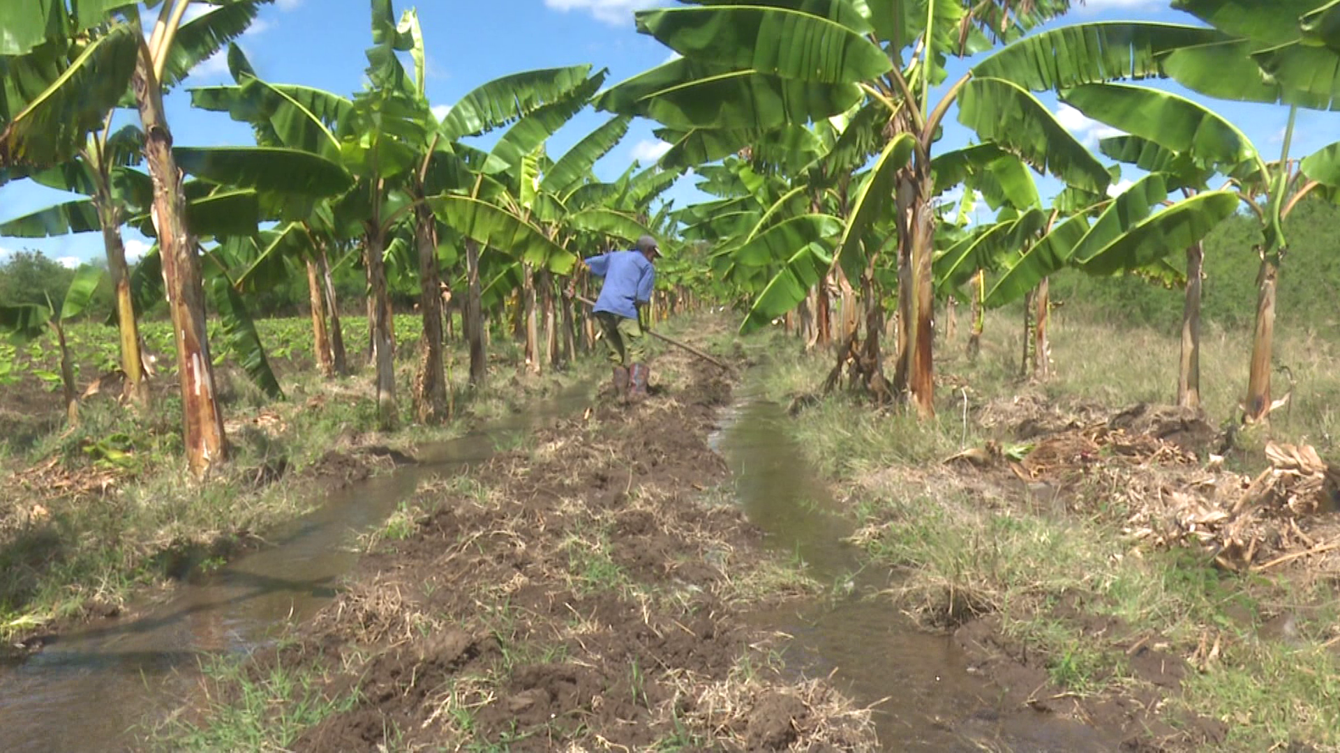 Asociados de la CPA Celia Sánchez trazan estrategias que favorecen sus resultados