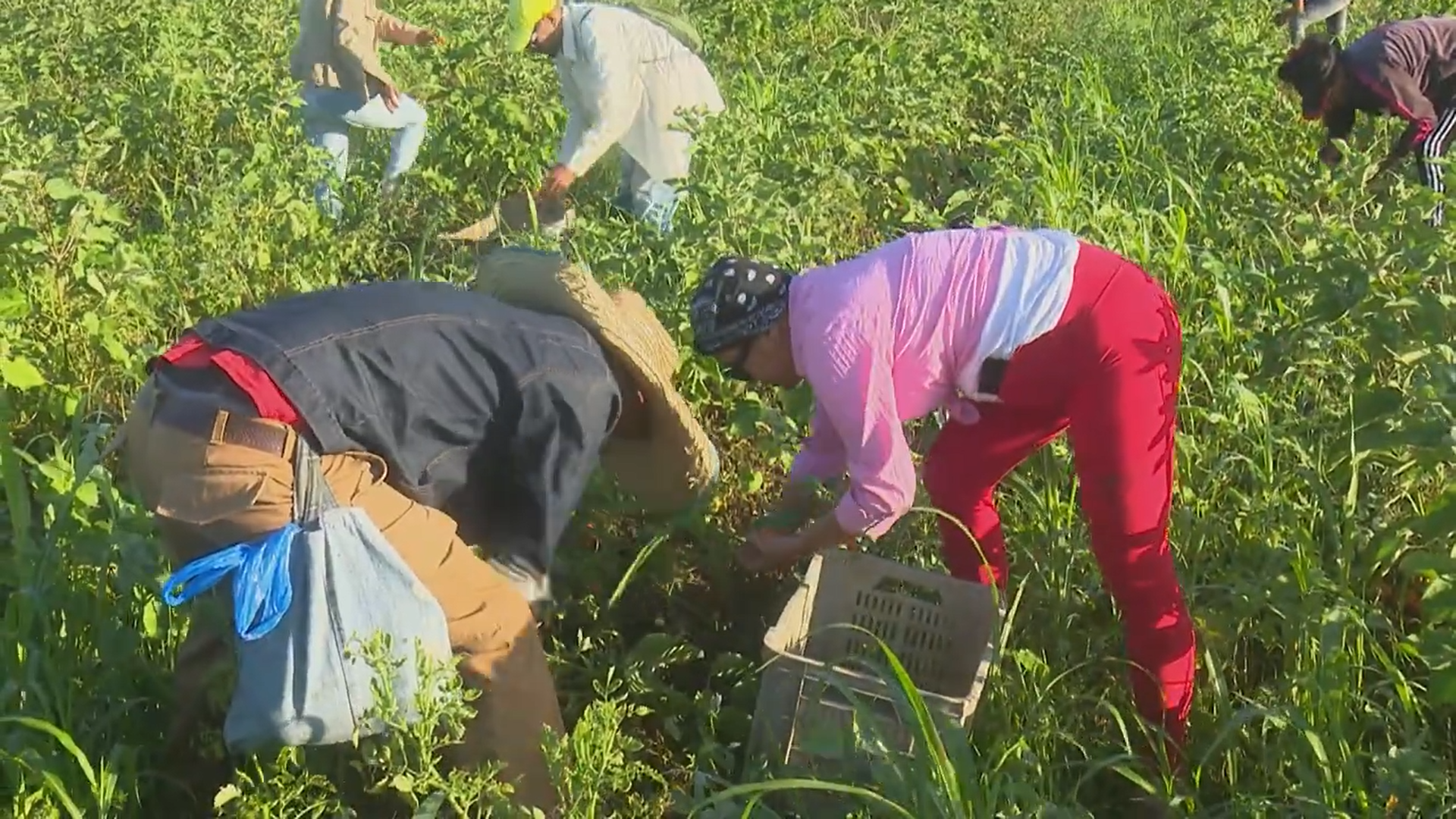Realizan jornada de trabajo voluntario en saludo al Primero de Mayo