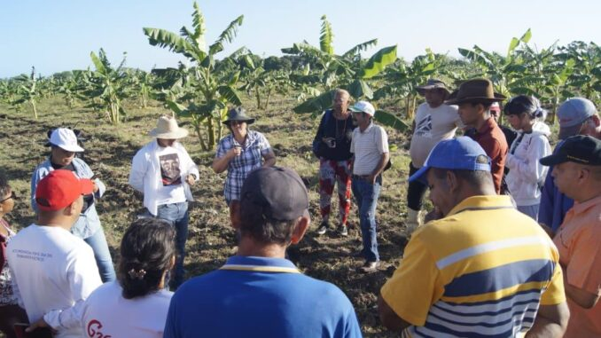 Chequean áreas productivas y Programa Emergente en Manzanillo