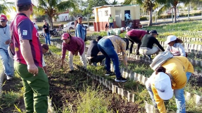 Continúan en Granma actividades por el Primero de Mayo