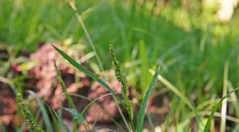 Retomar caminos y tradiciones productivas