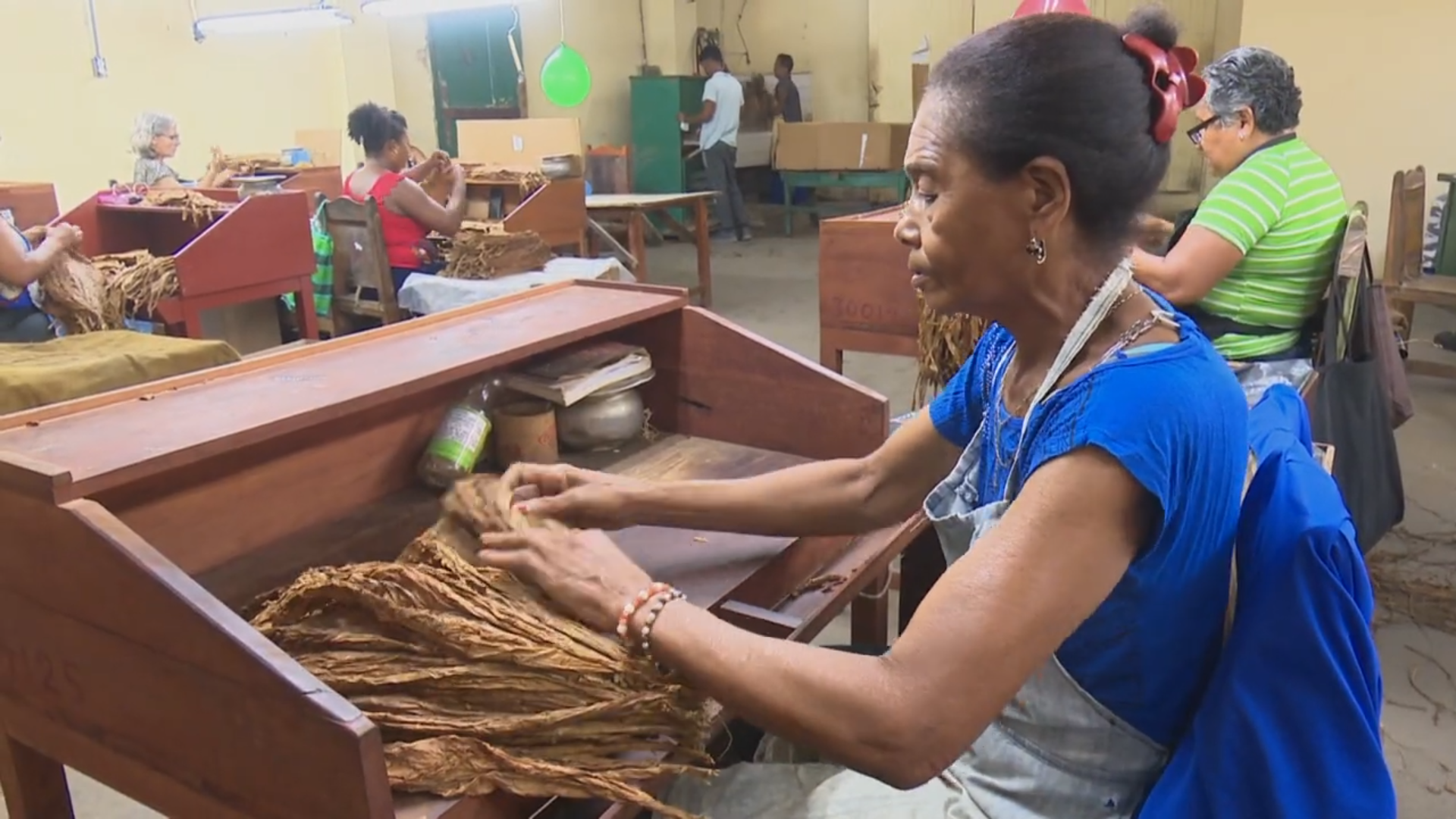 Resalta Virginia Castillo González como trabajadora ejemplar del sector tabacalero en Granma