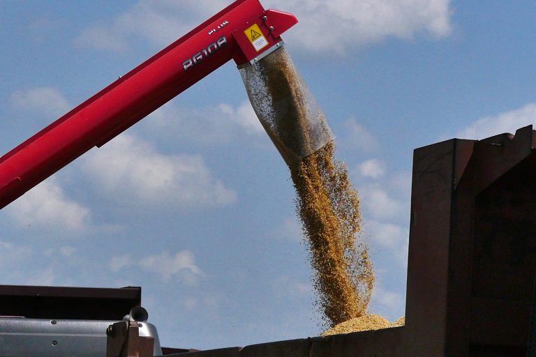 Vietnam y Cuba afianzan alianza agrícola en producción de alimentos