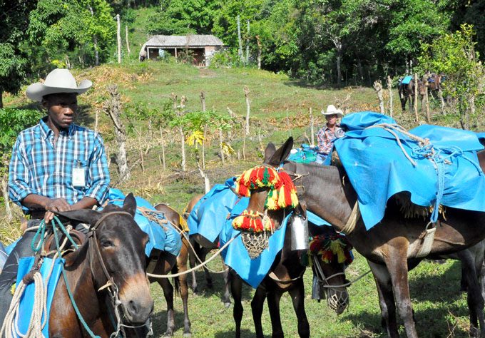 Festival de arrieros y fabulaciones en Buey Arriba
