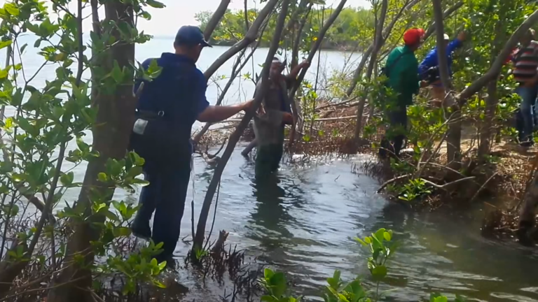El CITMA desarrolla diversos proyectos en aras de proteger los recursos naturales