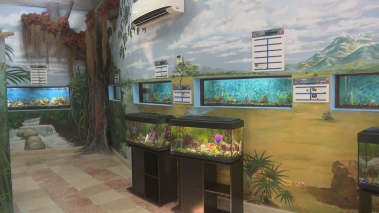Posee más de 20 especies de peces, acuario de la Ciudad Monumento